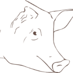 Cochon