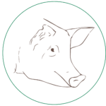 Porc Aurouze